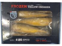 FROZEN YELLOW CROAKER