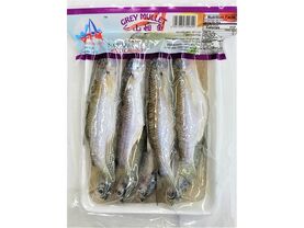 HARBOUR CITY FROZEN GREY MULLET