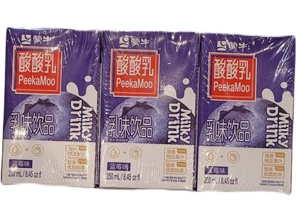 MN YOGURT MILK DRINK BLUEBERRY 1PK