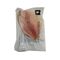 TILAPIA  FILLET