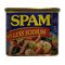 SPAM   LUNCHEON MEAT